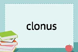 clonus