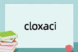 cloxacillin