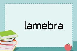 lamebrain