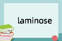 laminose