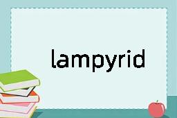 lampyrid