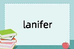 laniferous