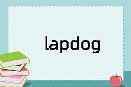 lapdog