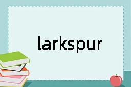 larkspur