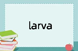 larva