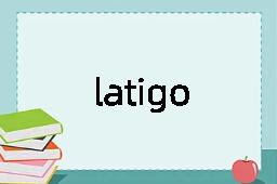 latigo