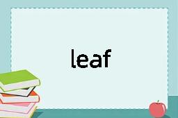 leaf