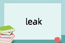 leak