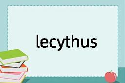 lecythus