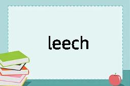 leech