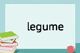 legume