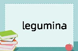 legumina