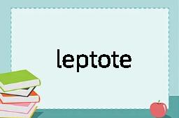 leptotene