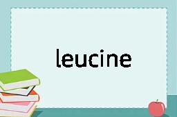 leucine