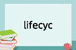 lifecycle