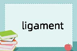 ligament