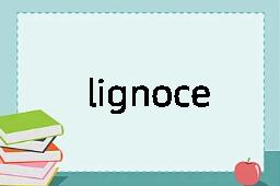 lignocellulose