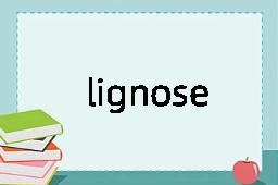 lignose