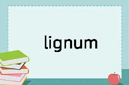 lignum