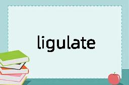 ligulate