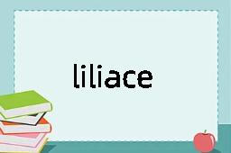 liliaceous