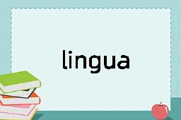 lingua