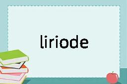 liriodendron