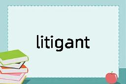 litigant