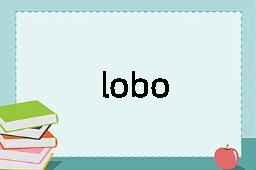 lobo