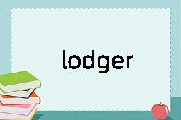 lodger