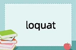 loquat