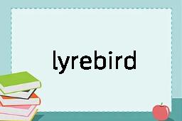 lyrebird