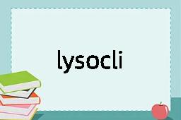 lysocline