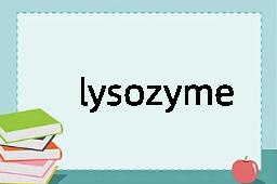 lysozyme