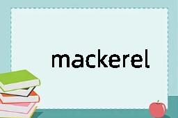 mackerel