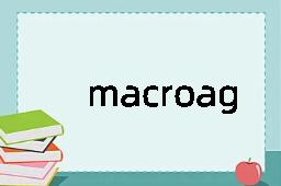 macroaggregate