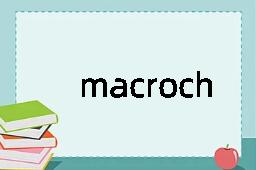 macrochemistry