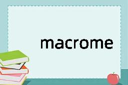 macromere