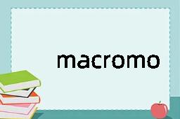 macromolecule