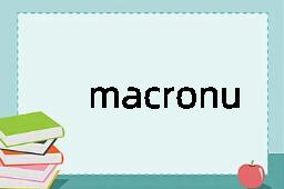 macronucleus