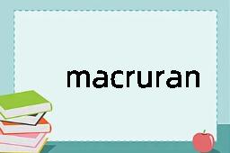 macruran