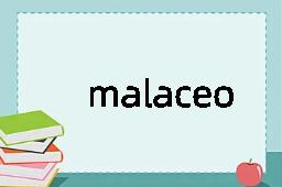 malaceous