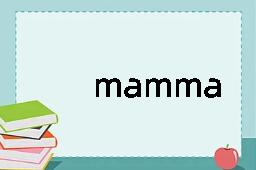 mamma