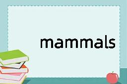 mammals