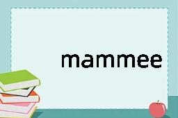 mammee