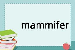 mammifer