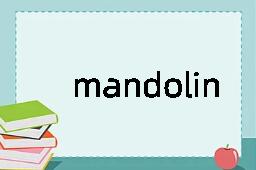 mandolin