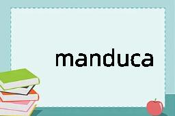 manducate