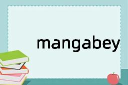 mangabey