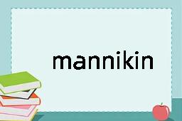 mannikin